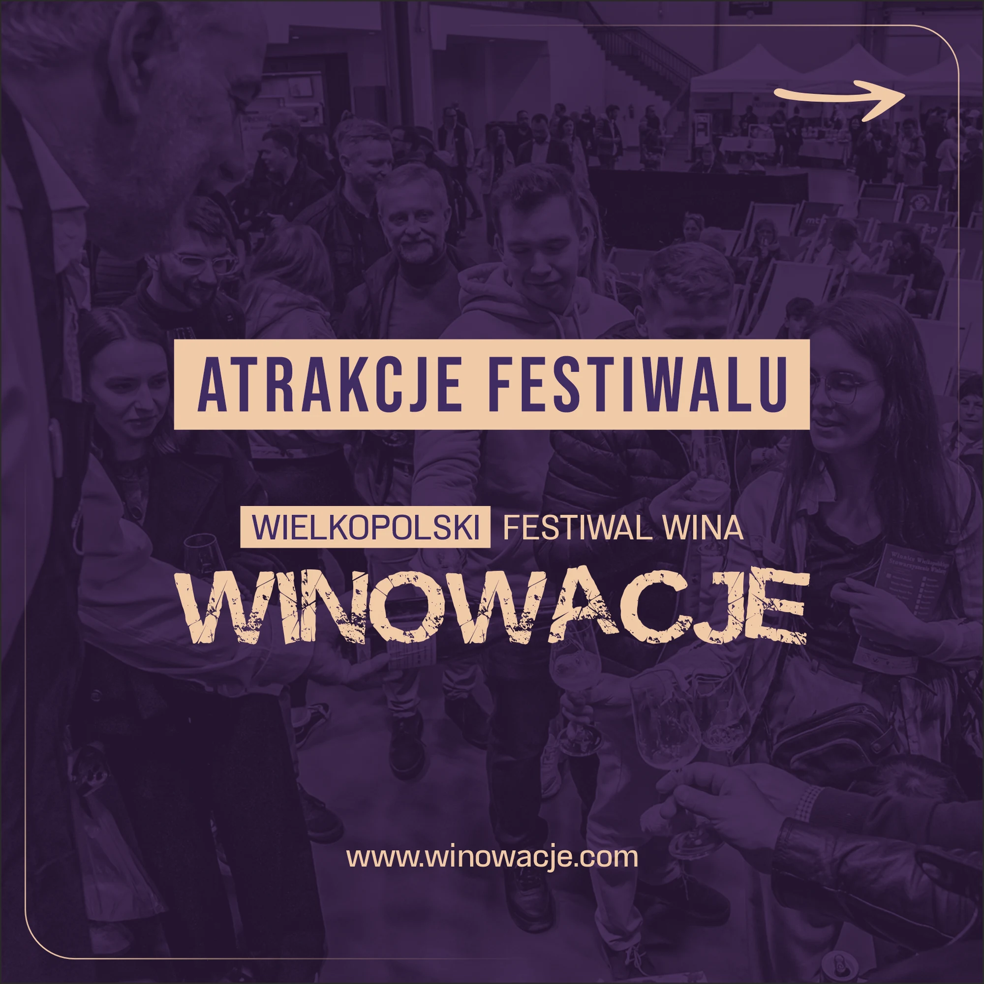 Materiały kampanii Winowacje